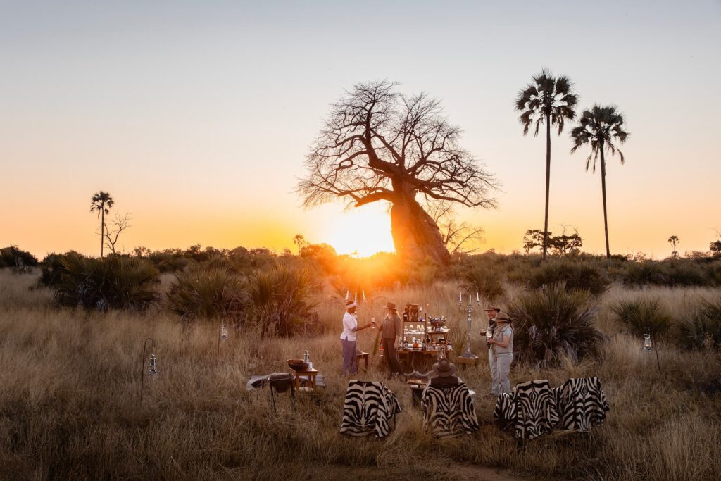 A group of people on safari relax before a large baobab and palm trees silhouetted against a sunset.