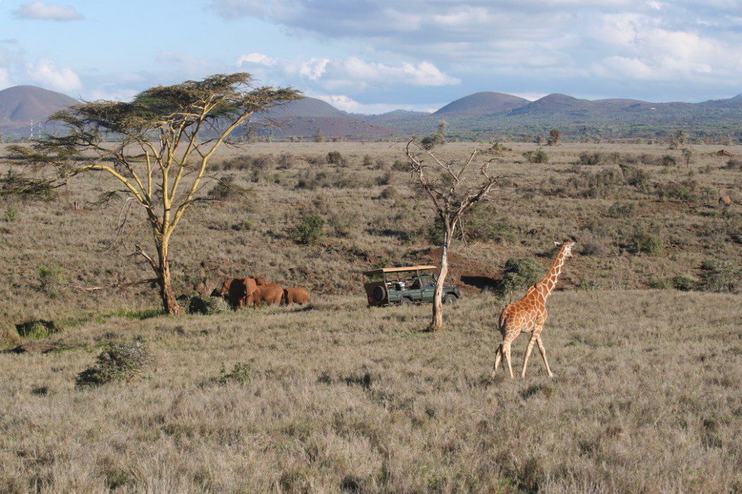 PATH+PLAIN Kenya