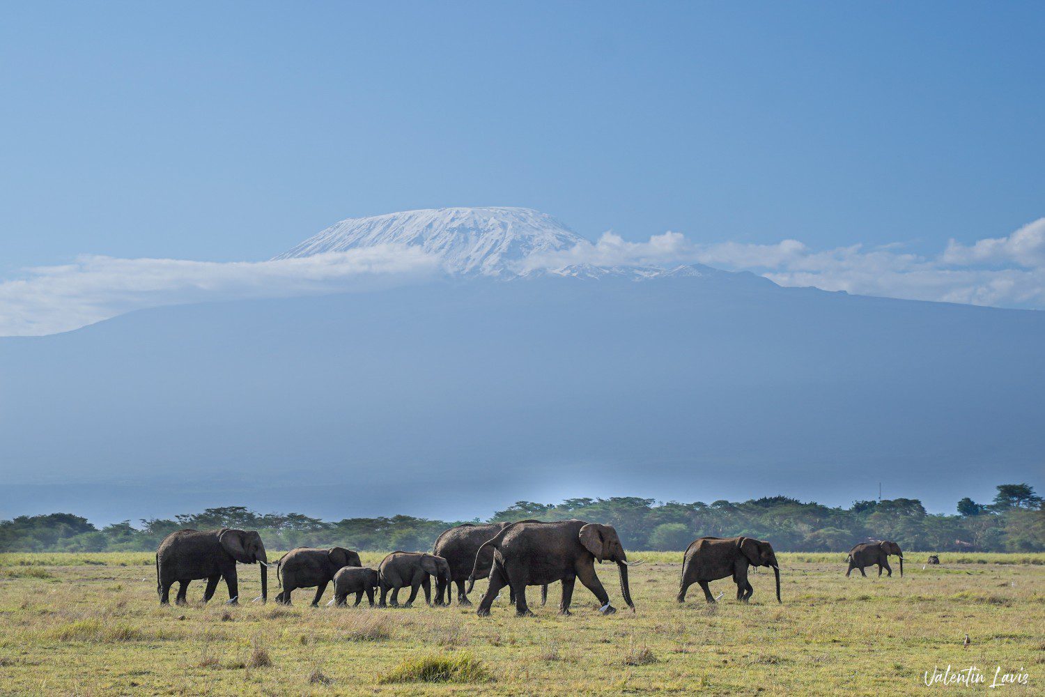 PATH+PLAIN Kenya