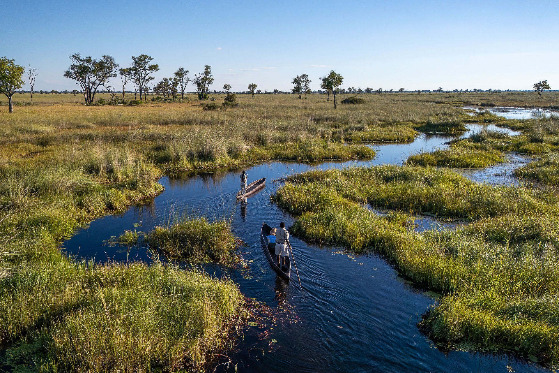 Two mokoro canoes are poled through a waterway, surrounded by a natural, grassy landscape under a blue sky.