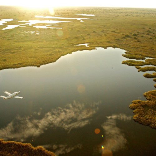 A small airplane flies over a serene, sunlit wetland landscape, with reflective water patches and lush greenery under a bright, clear sky.