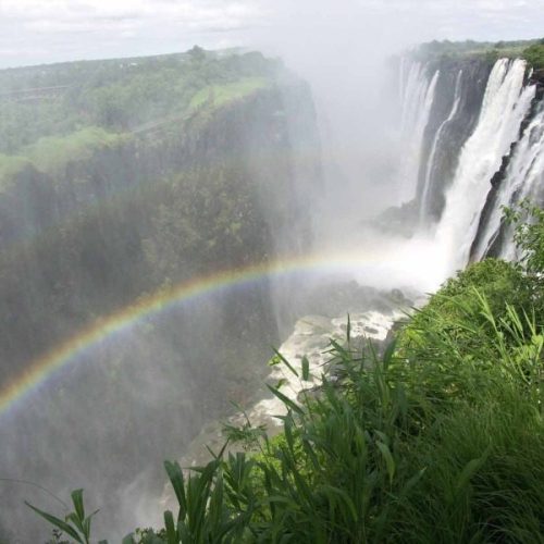 Victoria Falls cascades into a deep gorge framed by cliffs and lush vegetation, with a rainbow in the rising mist.