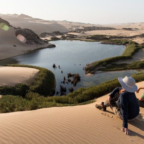 Two people relax on a sand dune overlooking a serene oasis surrounded by greenery in a desert landscape under a clear blue sky.
