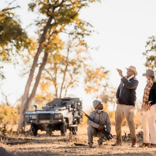 A safari guide and two clients look toward surrounding trees, with an open-top Land Cruiser in the background.