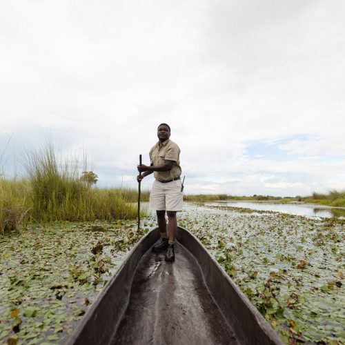 A man poling in the back of a mokoro taken from the vantage point of the passenger in front.