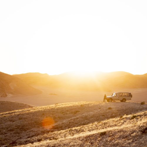 A safari vehicle silhouetted against a backdrop of rolling grassy hills creating a scene of calm exploration.