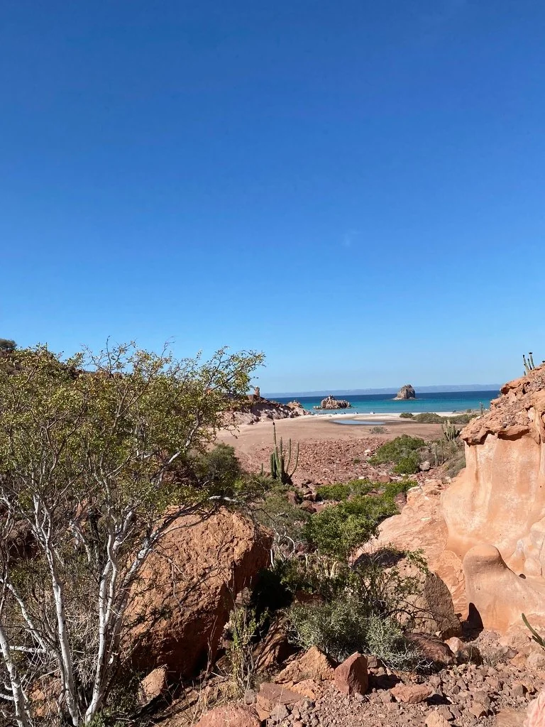 A rugged desert landscape with red rocks and sparse green vegetation leads to the blue sea under a cloudless sky.